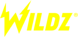 wildz-casino-logo-noir